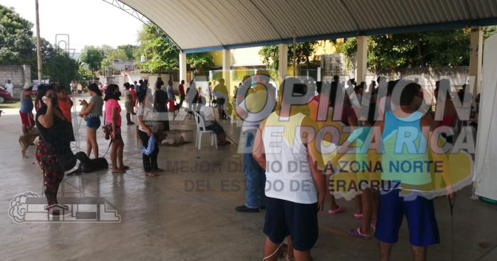 Buscan frenar el abandono de mascotas