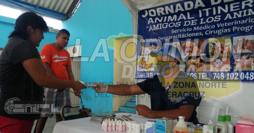 Buscan frenar el abandono de mascotas