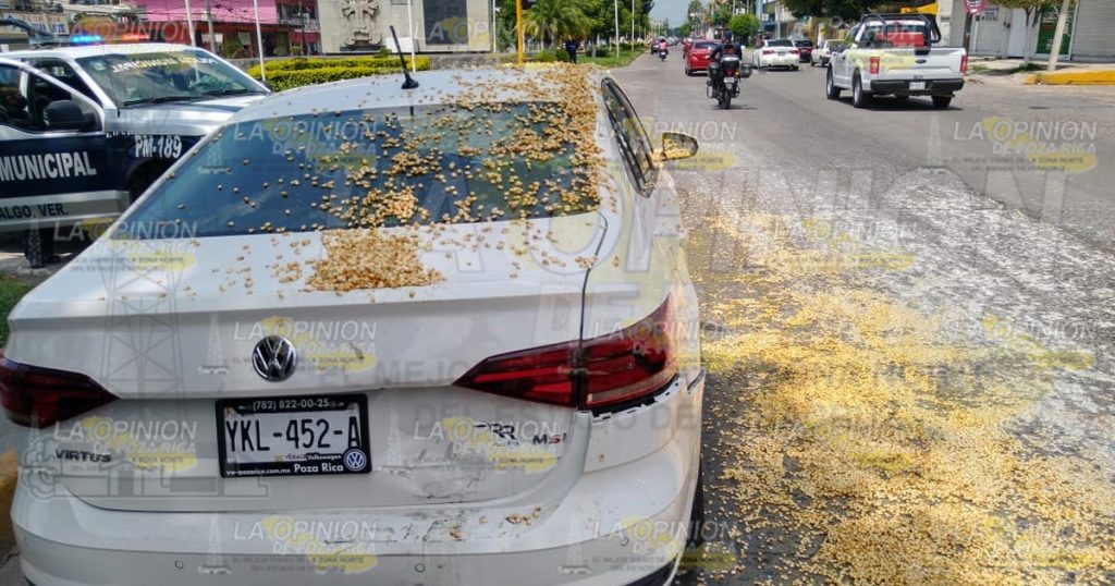 Motorepartidor se estrella por alcance