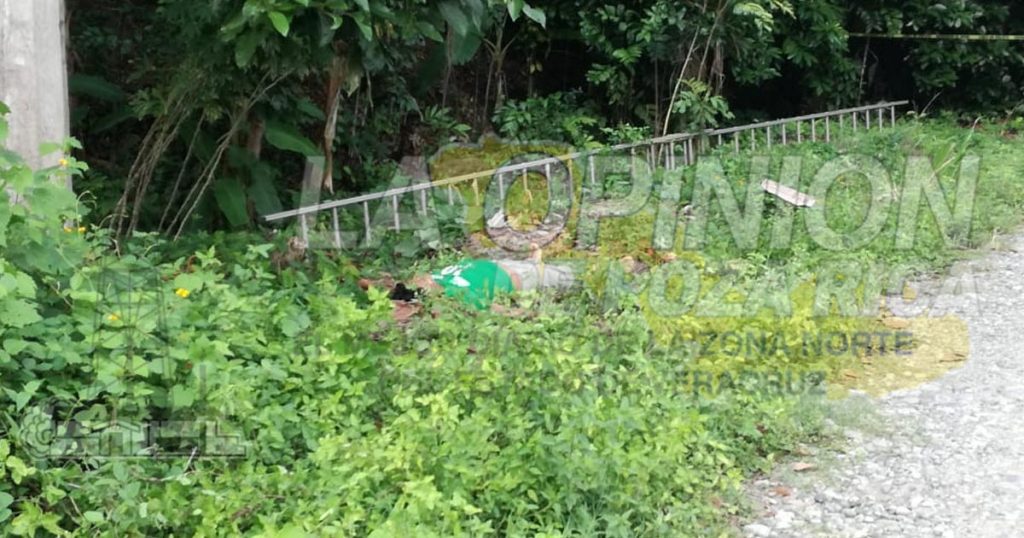 Desrramaba árbol de pimienta y se electrocuta