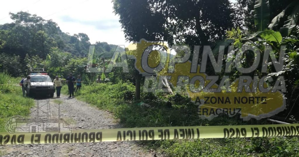 Desrramaba árbol de pimienta y se electrocuta