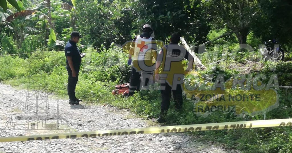 Desrramaba árbol de pimienta y se electrocuta