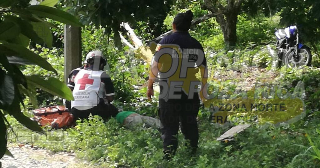 Desrramaba árbol de pimienta y se electrocuta