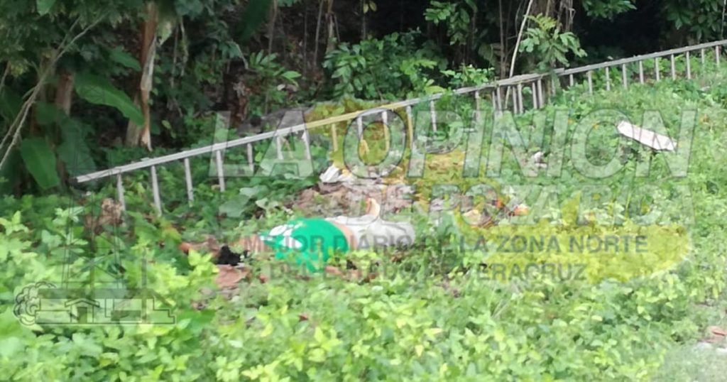 Desrramaba árbol de pimienta y se electrocuta