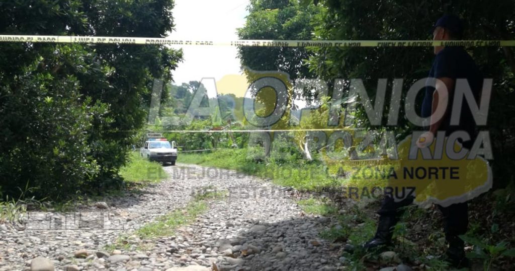 Desrramaba árbol de pimienta y se electrocuta