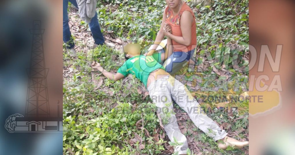 Desrramaba árbol de pimienta y se electrocuta