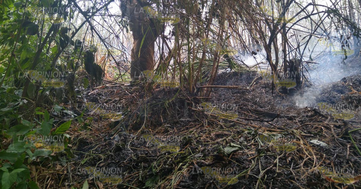 Fuego arrasa con pastizal de la “isla” de la colonia Petromex