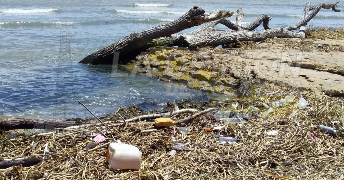 Toneladas de palizada y basura arriban a playas de Cazones