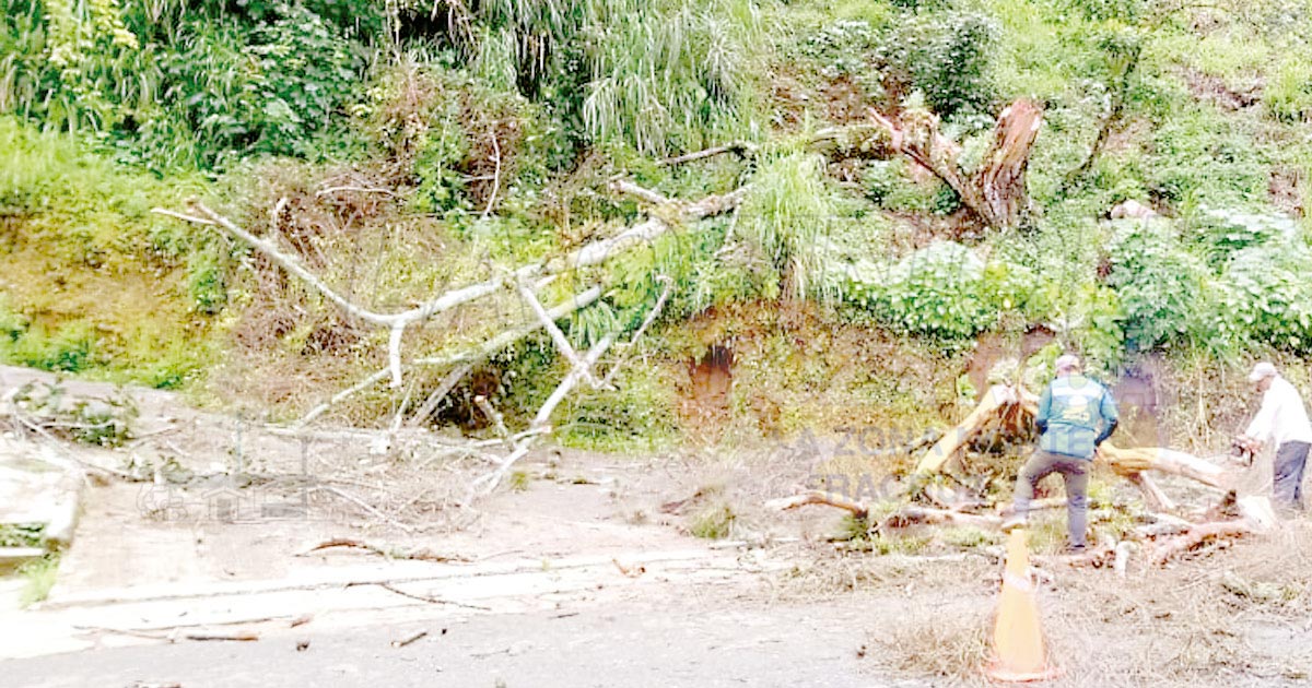 Destrozos por lluvias en sierras
