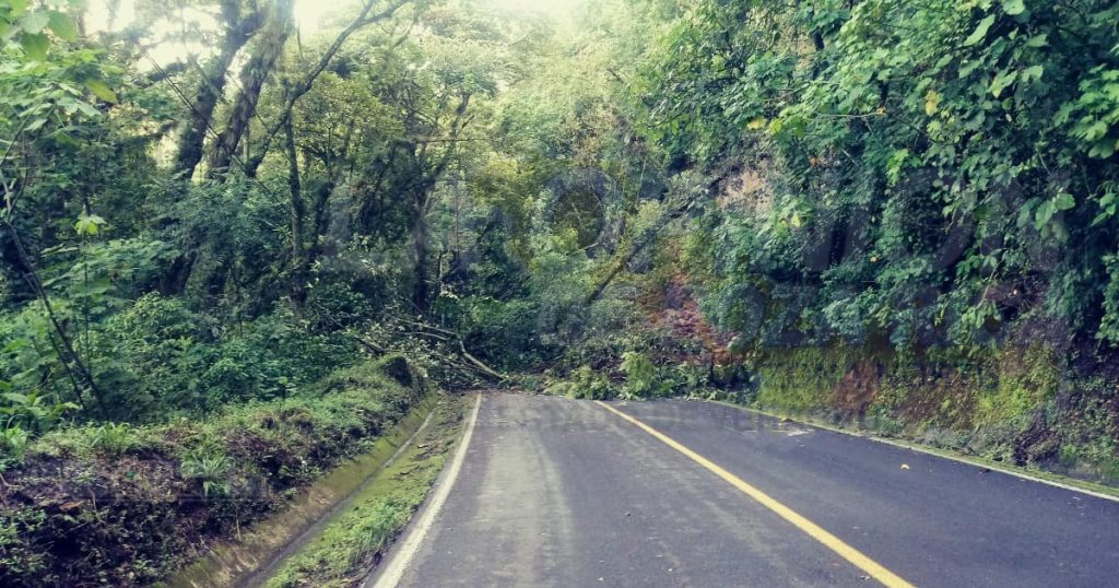 Caminos cortados y viviendas infestadas de lodo, el saldo tras las lluvias