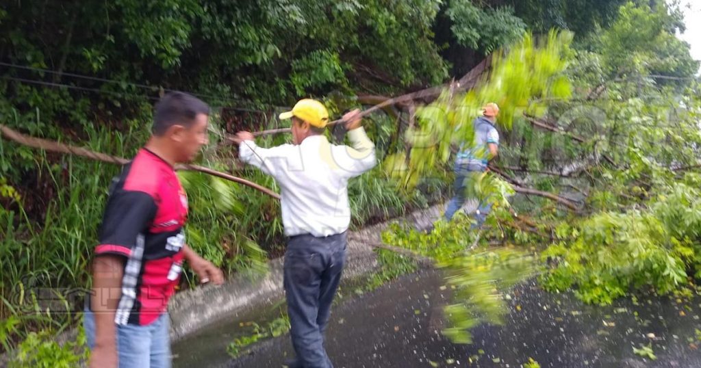 Mejoran visibilidad en accesos carreteros