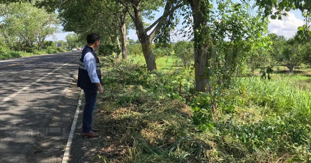 Limpiara y se reforestaran, áreas verdes en la carretera
