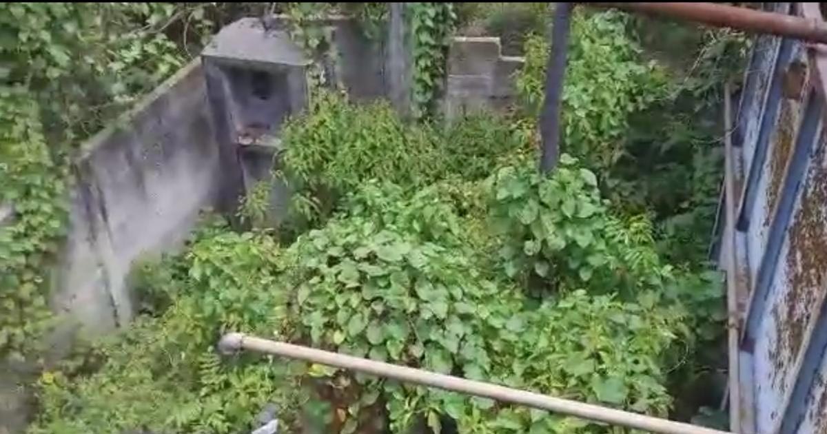 Planta tratadora de aguas en abandono por más de 20 años