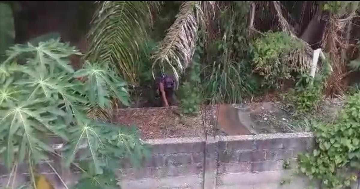 Planta tratadora de aguas en abandono por más de 20 años