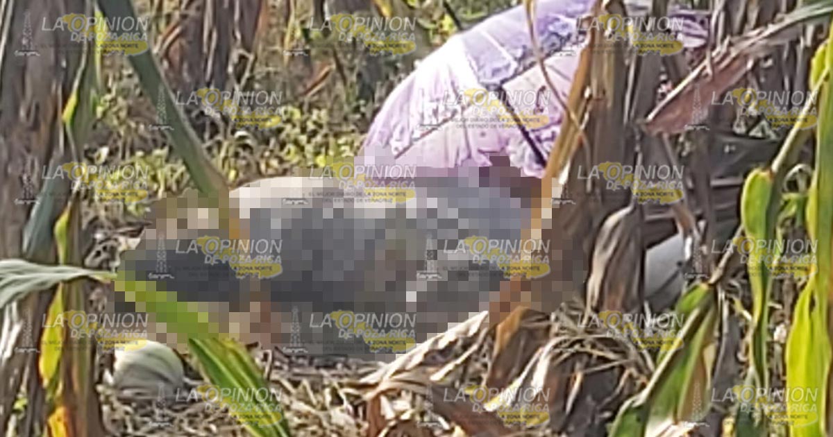 Hallan a campesino muerto