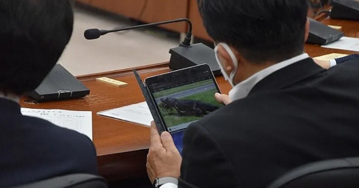 Diputado en Japón veía videos de cocodrilos en plena sesión
