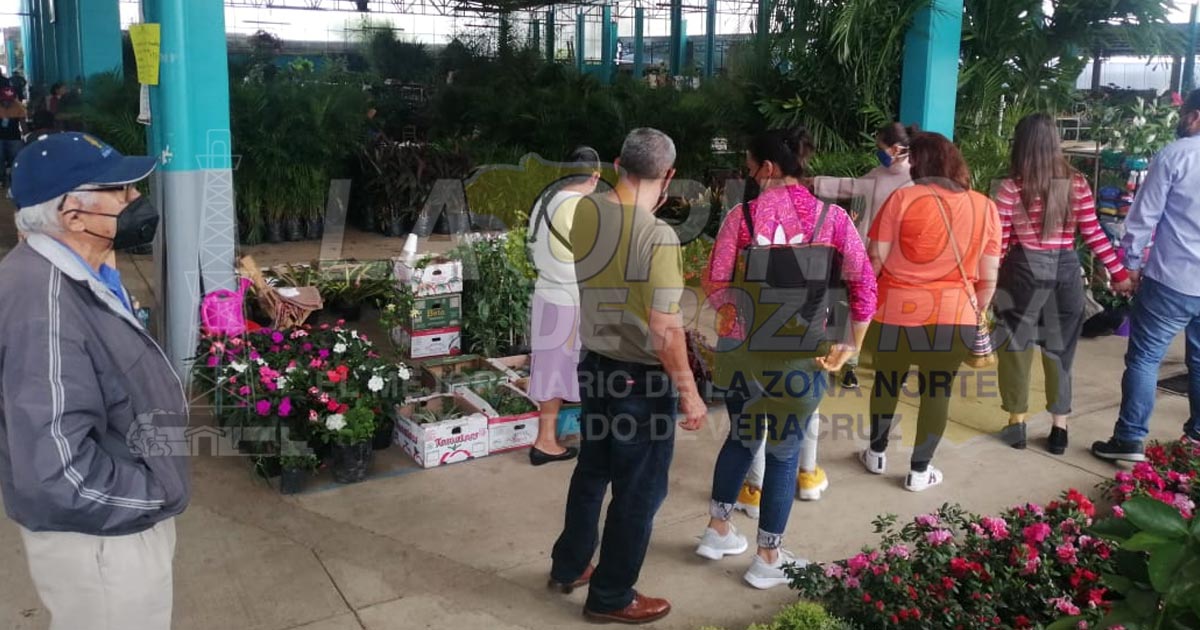 Mercado de las Plantas reactiva horarios de atención