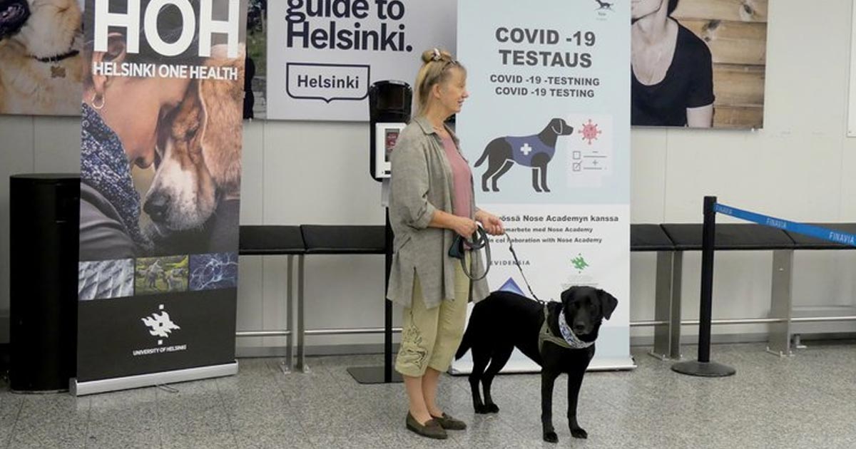 Por qué los perros podrían ser el futuro en la detección rápida del coronavirus