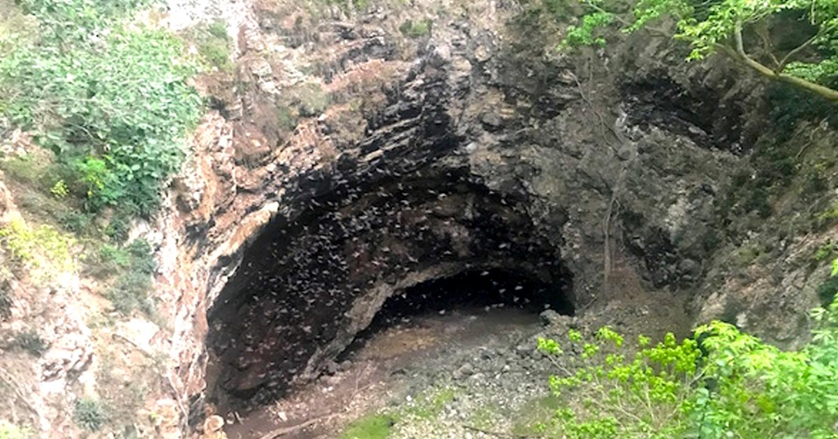 El volcán de los murciélagos, en peligro por el Tren Maya