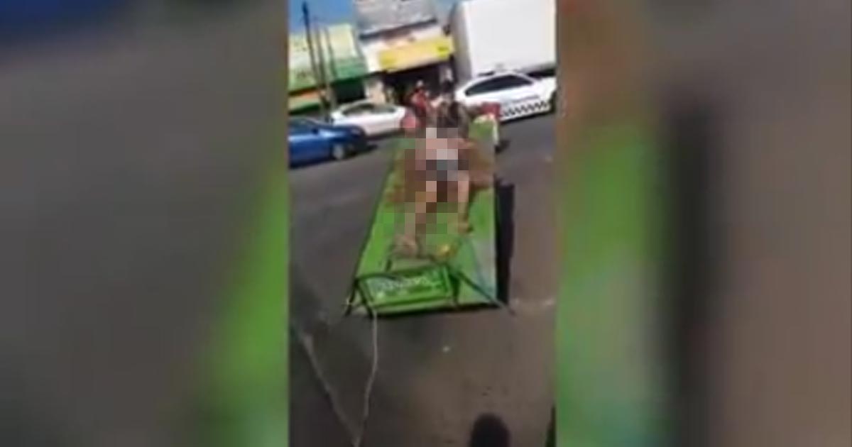Atan y golpean a presunto ladrón (+Video)
