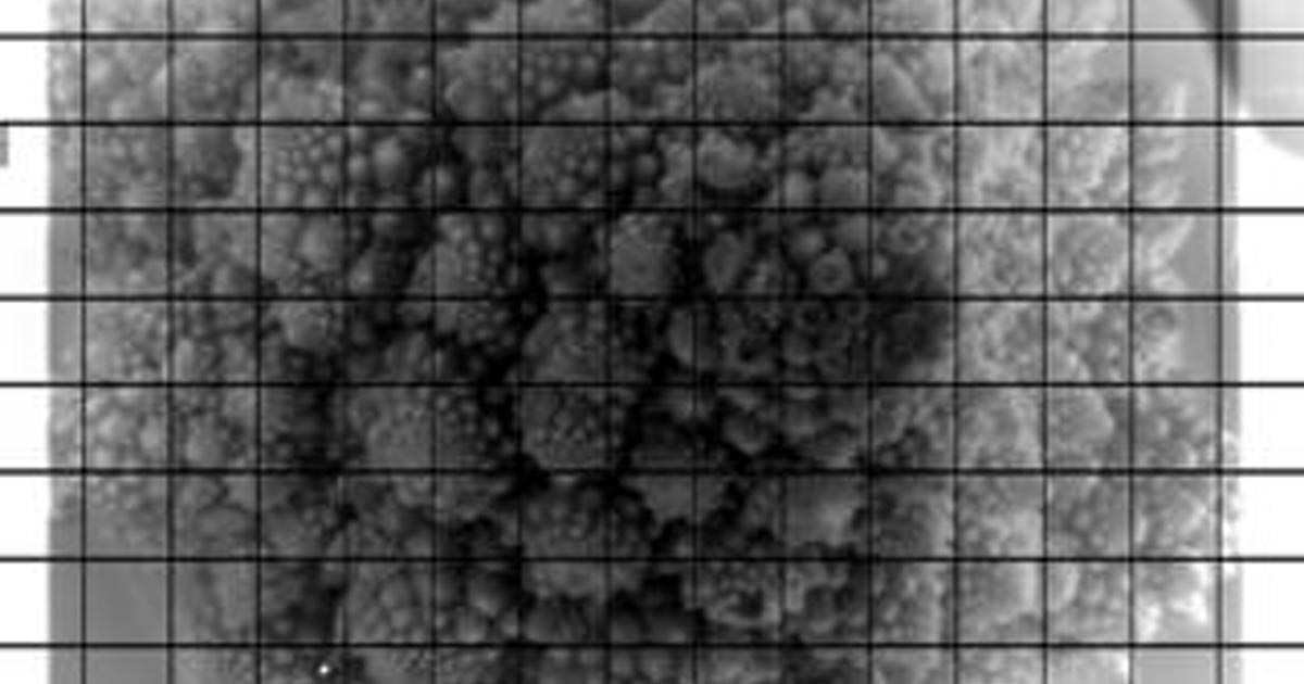 La imagen de 3.200 megapíxeles que se tomó con la "cámara digital más grande del mundo"