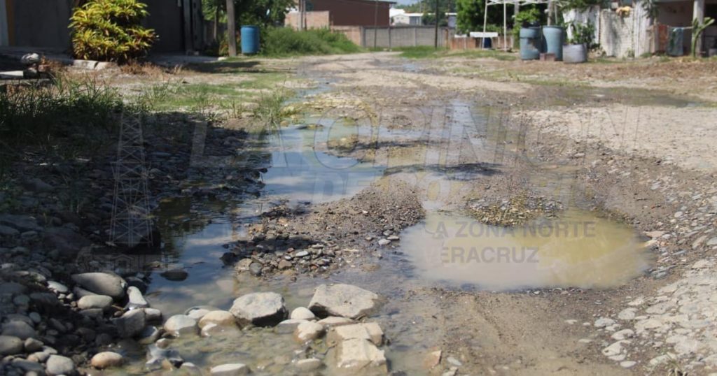 Colonos en peligro por dengue