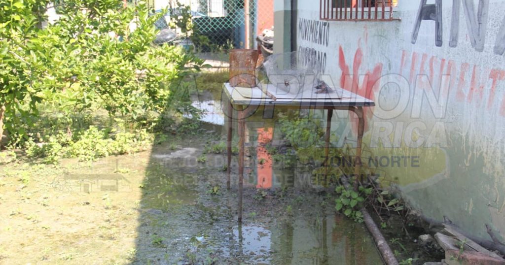 Colonos en peligro por dengue