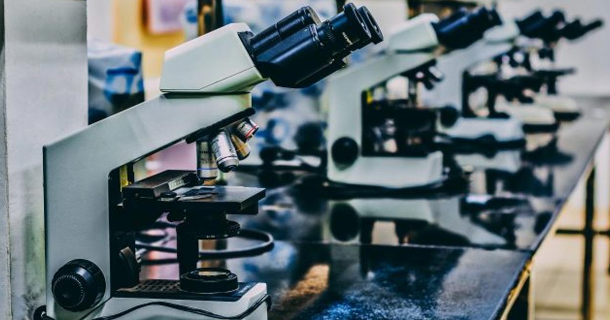 UNAM pide presupuesto suficiente para la investigación, educación y cultura