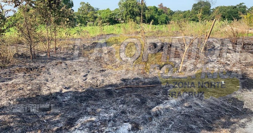 Queman basura y se sale de control en Coatzintla