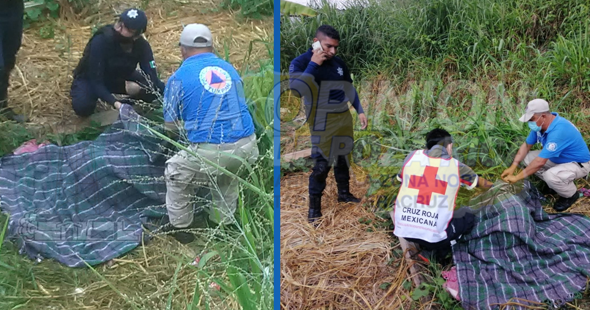 Aparece desnuda en un predio