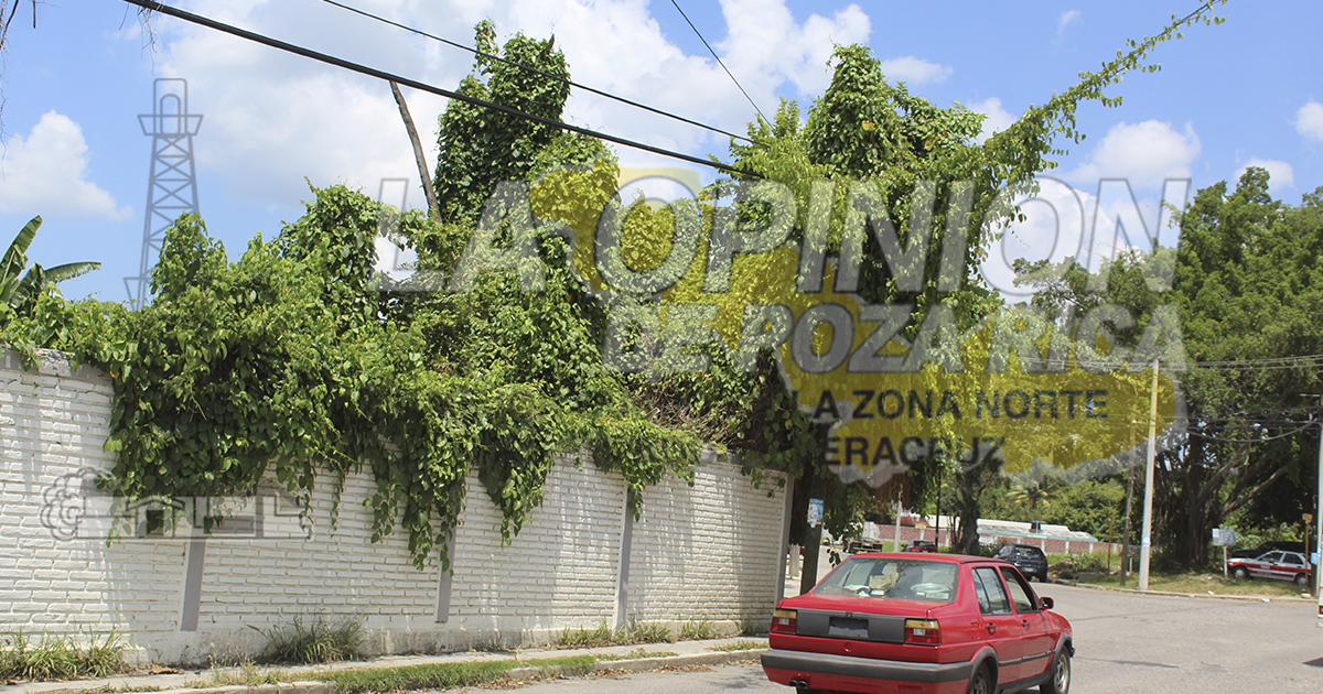“Jardines colgantes” en Poza Rica
