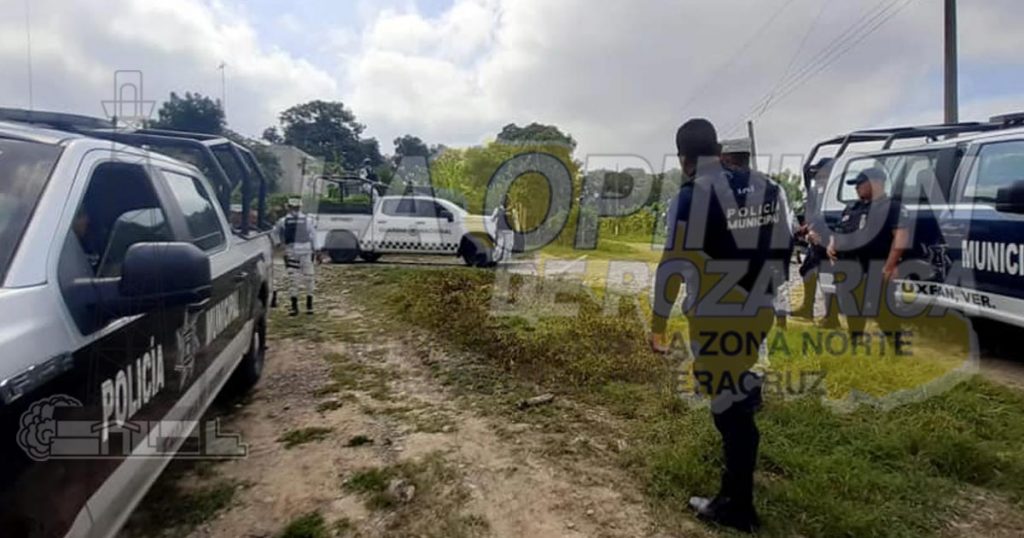 Roban tres semovientes