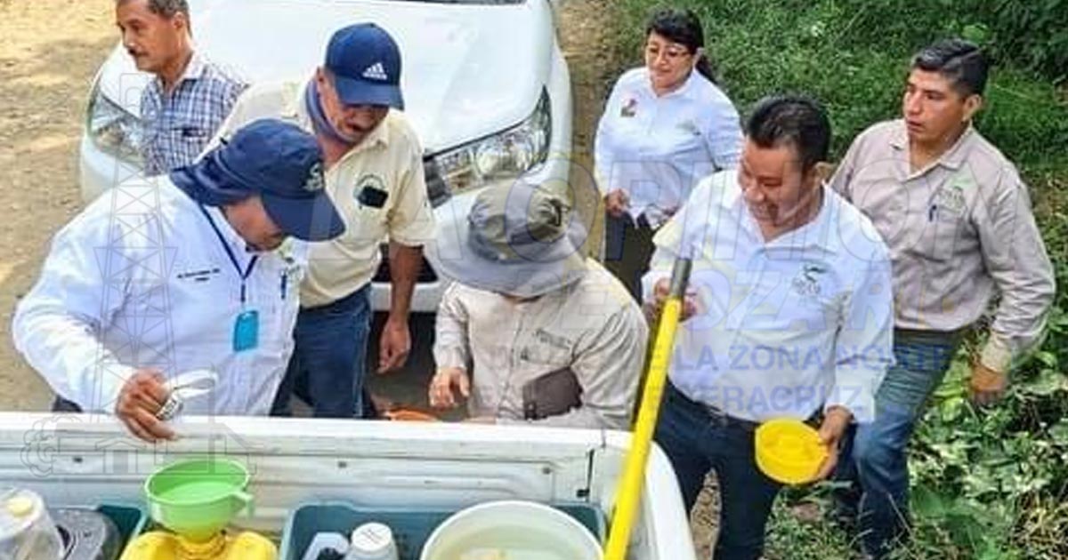 Realizan campaña contra Moscas de la Fruta en huertos de tihuatecos