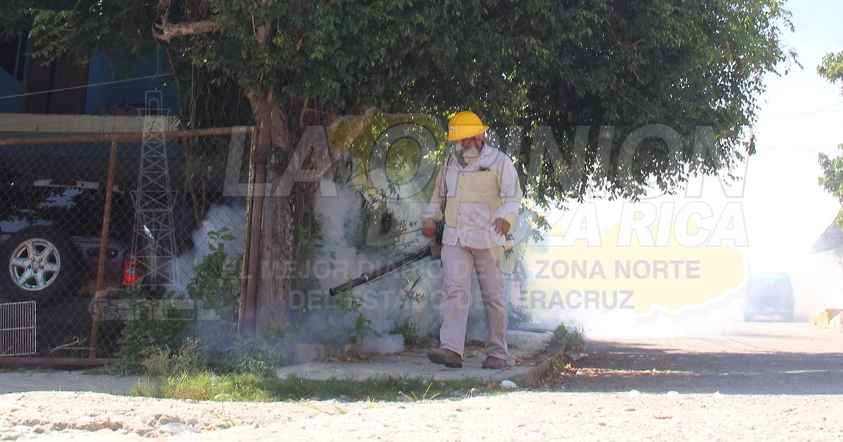 Poza Rica es zona de alarma por dengue