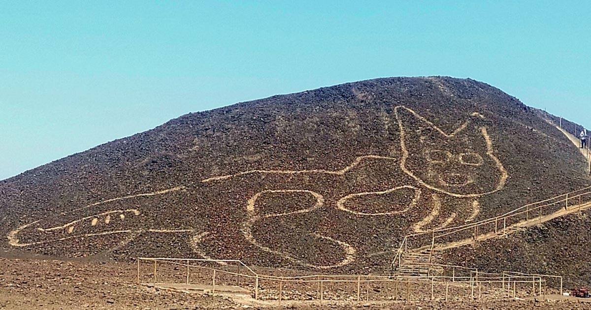 Descubren en colina de Nasca la figura gigante de un felino