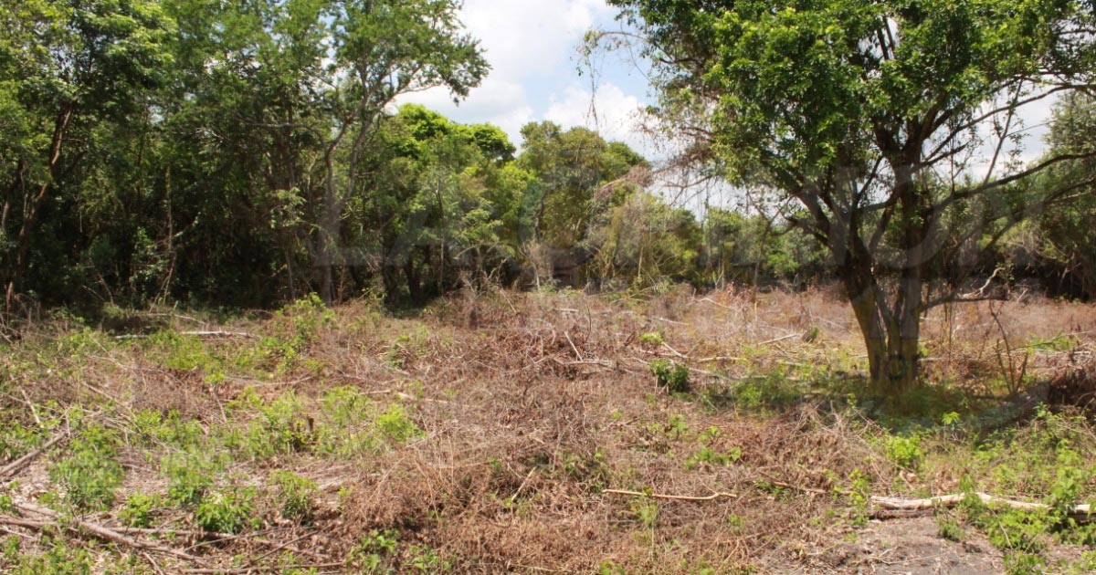 Habrá nuevo panteón en Coatzintla antes de cerrar este año