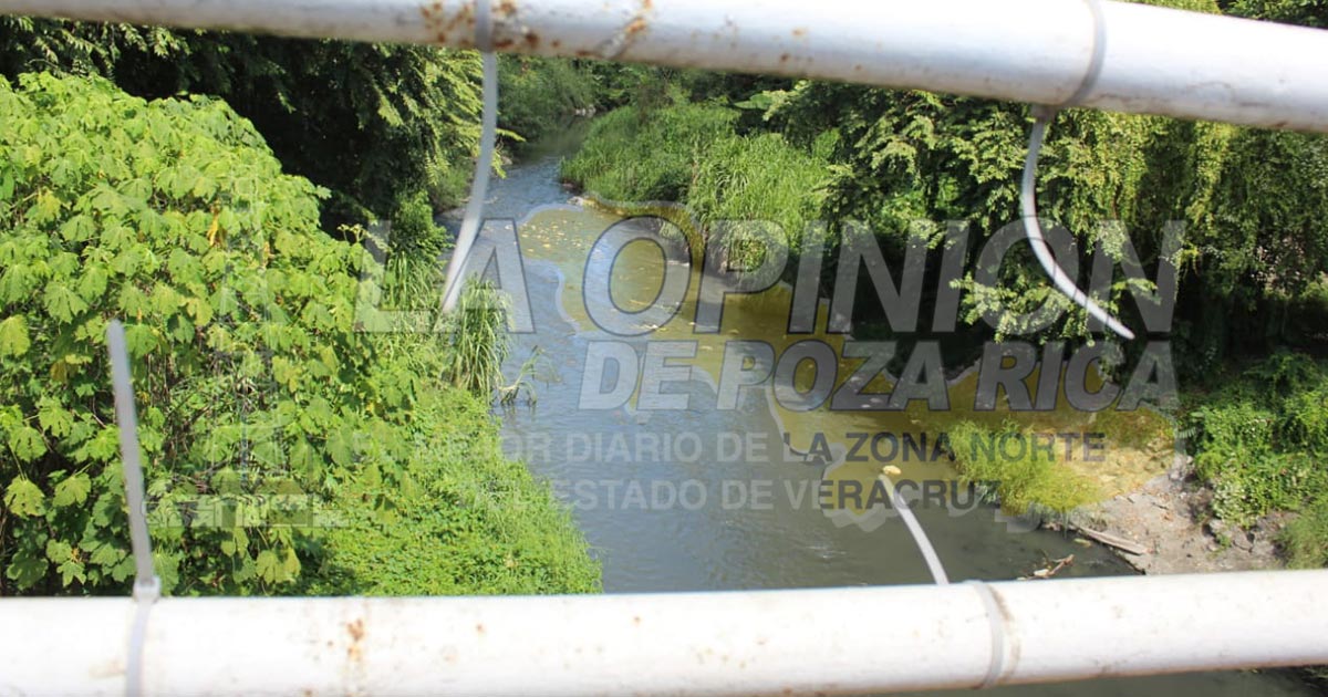Se roban advertencias de zona de cocodrilos