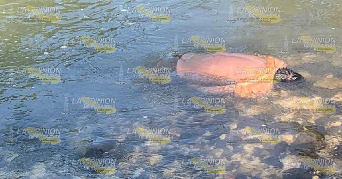 Hallan cadáver en el río Paso Real