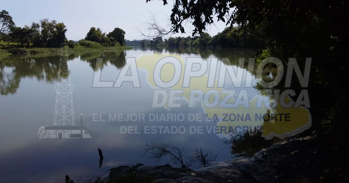 Mayor presencia de lagartos genera temor entre la población, en Cazones