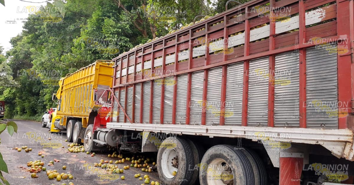 Camiones tortón chocan por alcance