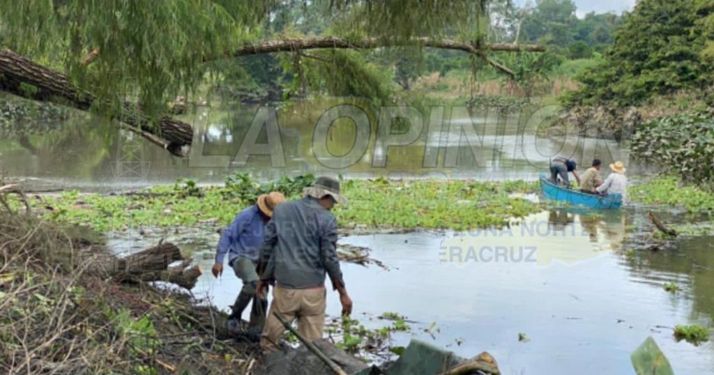 Juguera de agua nacida ya no contamina la tortuga, el brazo izquierdo del río se recupera