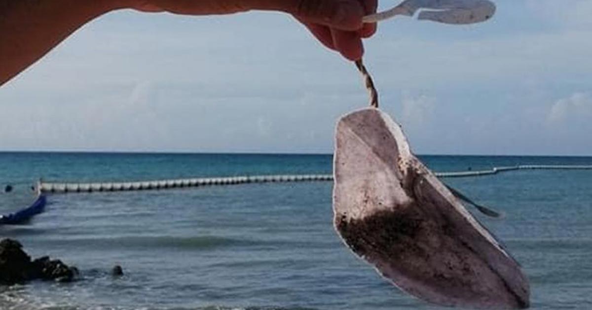 Cubrebocas, nueva basura en playas de México