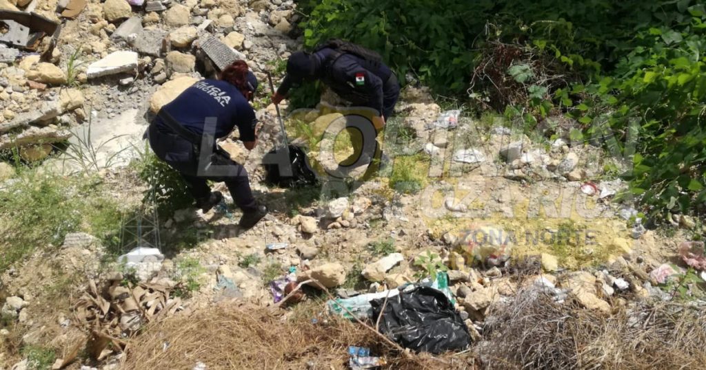 ¡Psicosis por bolsas negras!