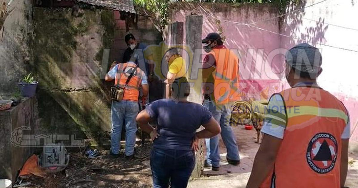 Alertan, presencia de animales peligrosos