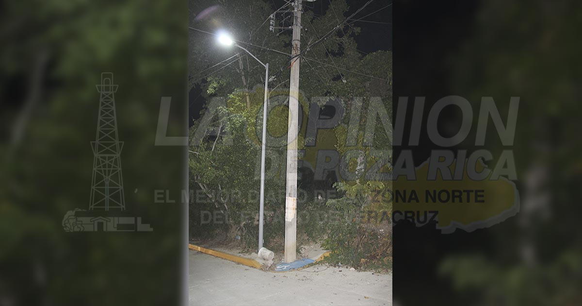 La SIOP consiente empresas “patito”