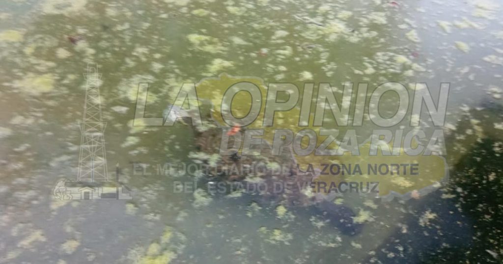 Luce fuente de la glorieta en el abandono en Cerro Azul