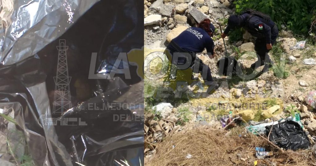 ¡Psicosis por bolsas negras!