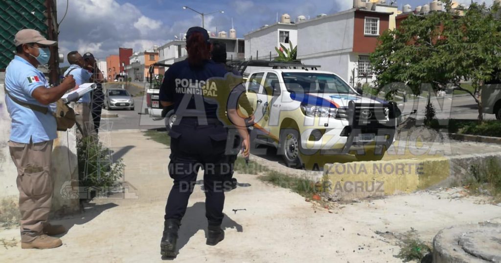 ¡Psicosis por bolsas negras!