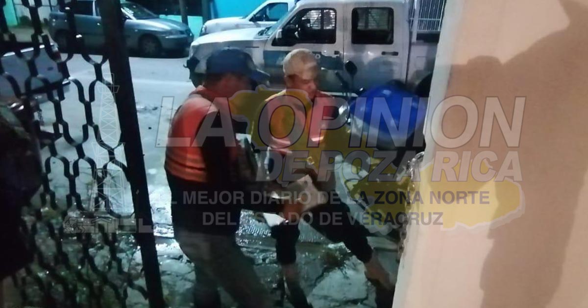 Aumenta presencia de animales silvestres en hogares