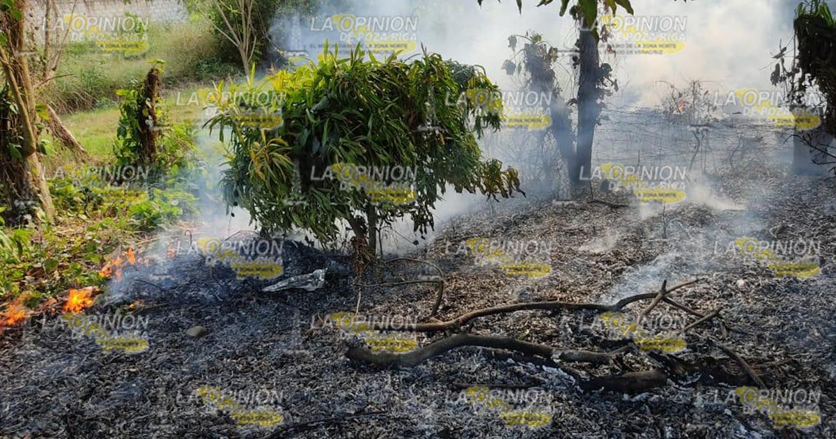 Continúan incendios por negligencia de habitantes